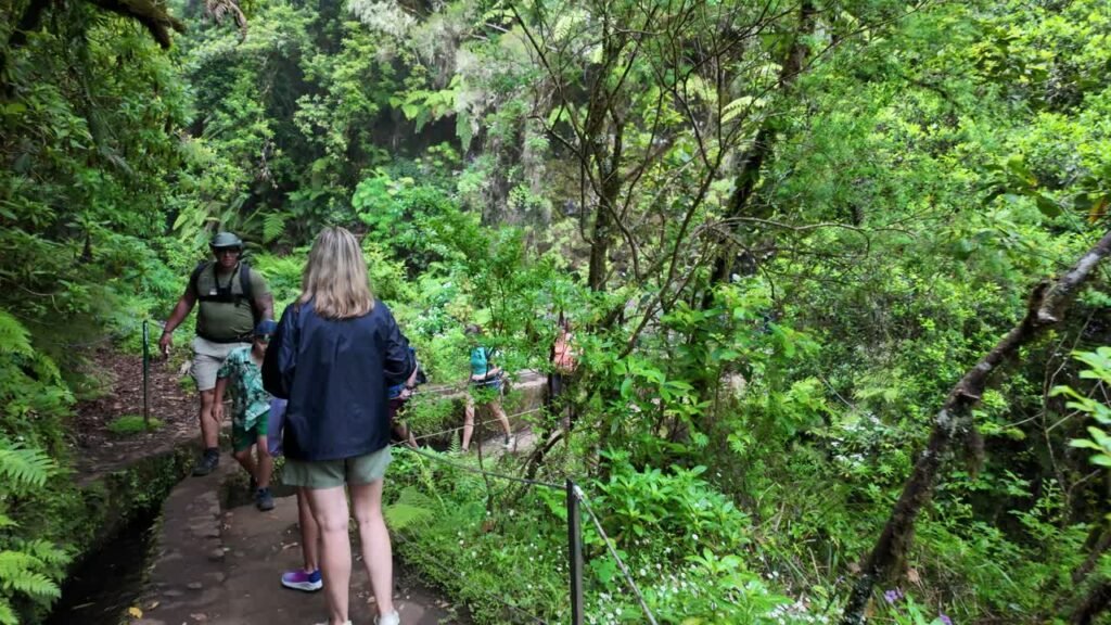 levada de Mádeira