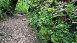 evadas de Madeira con niños — Littlewanderlust (Madeira)